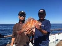Coral Sea 3/4 day 9.26.17