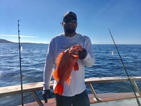 Coral Sea 3/4 day Charter 11.4.17