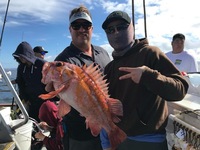 Stardust 3/4 day Charter 11.4.17