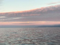 Stardust 3/4 day Charter 11.4.17