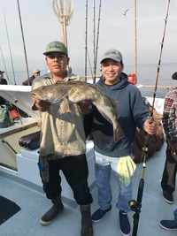 Coral Sea 3/4 day Charter 12.9.17