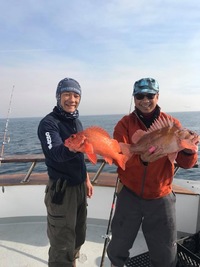 Coral Sea 3/4 day Charter 12.9.17