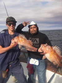 Coral Sea 3/4 day 12.10.17