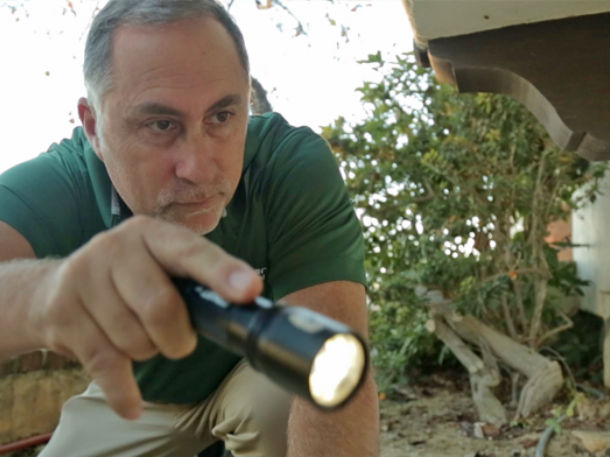 Termite Inspections O Connor Pest Control Bakersfield Bakersfield Pest Control O Connor