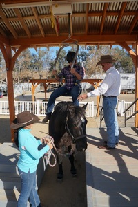 Equine Facilitated Learning (EFL) February 1, 2018-3 Equine Facilitated Learning (EFL) February 1, 2018-3
