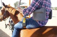 Equine Facilitated Learning (EFL)  February 1, 2018-4