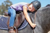 Equine Facilitated Learning (EFL) February 1, 2018-5 Equine Facilitated Learning (EFL) February 1, 2018-5