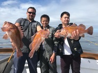 Stardust 3/4 Day 3.2.17 