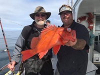 Stardust 3/4 Day 3.2.17 