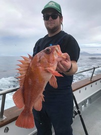 Stardust 3/4 Day 3.2.17 