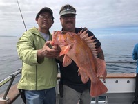 Stardust 3/4 Day 3.2.17 