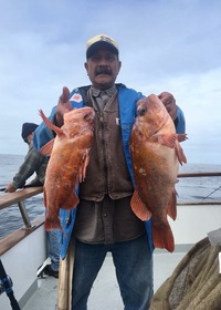Coral Sea 3/4 day 3.2.18