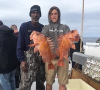Coral Sea 3/4 day 3.2.18