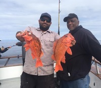 Coral Sea 3/4 day 3.2.18