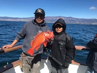 Coral Sea 3/4 day 3.4.18