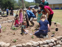 Daniel Wilson Teaching Children