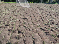 Food Not Lawns 2
