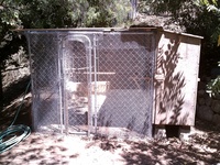 Predator-Proof Chicken Coop