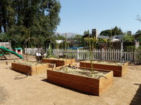 Backyard Raised Beds