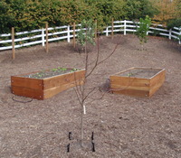 Raised Beds - Horse Corral Conversion