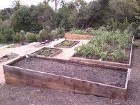 Raised Planting Bed Complex