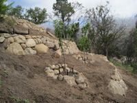 Slope Planting & Terracing