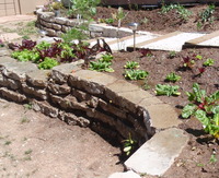 Urbanite Veggie Planters
