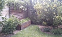 Veggie Box & Fruit Trees