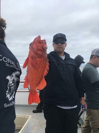 Coral Sea 3/4 day 3.11.18