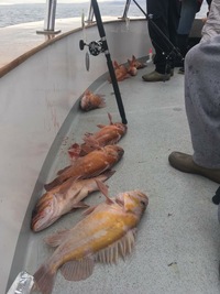 Coral Sea 3/4 day 3.13.18