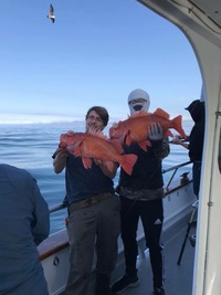 Stardust 3/4 day Charter 5.20.18