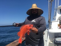 Coral Sea 1/2 day 6.8.18