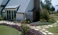 Ultra-Low Water Plantins & Residential Design