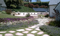 CA-Friendly, Low Water Plantings