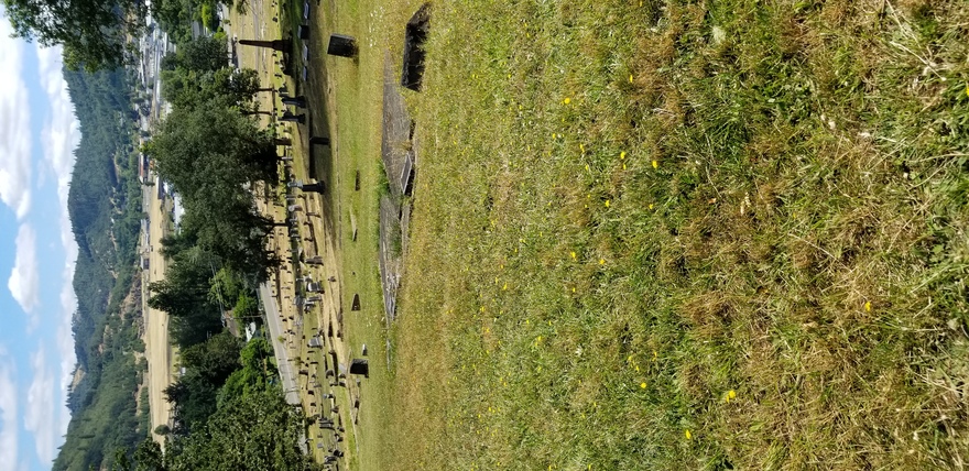 Our Gardens