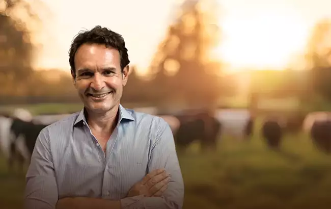 Benedini Fazendas Benedini Fazendas