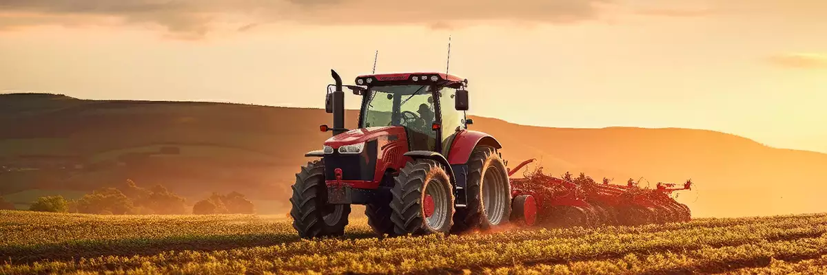 Principais Estados do Agronegócio no Brasil: Oportunidades para Imóveis Rurais