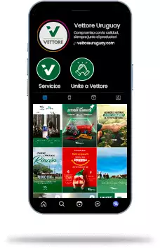 Nosso Instagram Nosso Instagram