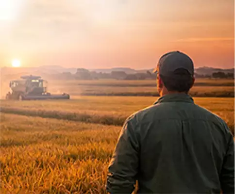 Investir em campos no Uruguai