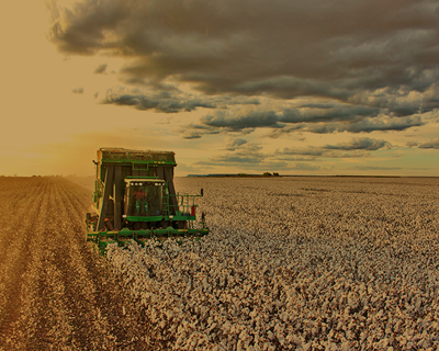 Foto de Fazendas em Mato Grosso
