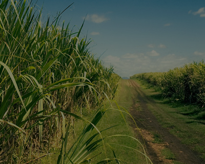 Foto de Fazendas em São Paulo