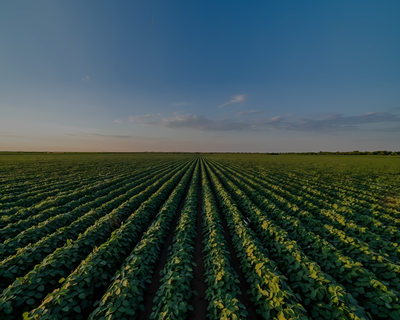 Foto de Fazendas no Brasil