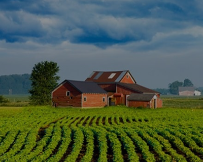 Foto de Imóveis Rurais