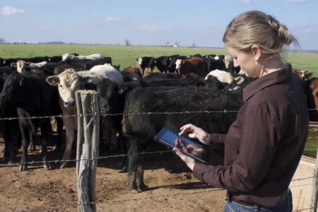 The <em>Enhanced Passive Surveillance</em> System: Crowdsourcing for Early Detection of Animal Disease Outbreaks