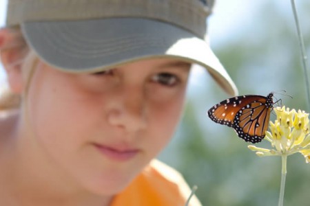 <em>Nature’s Notebook</em>: Citizen Scientists Track Seasonal Change