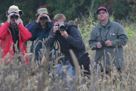 <em>eBird</em>: Crowdsourcing Bird Data