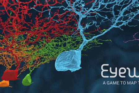 <em>EyeWire</em>: A Game to Crowdsource Brain Mapping