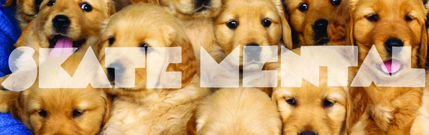 Skate Mental Decks On Sale