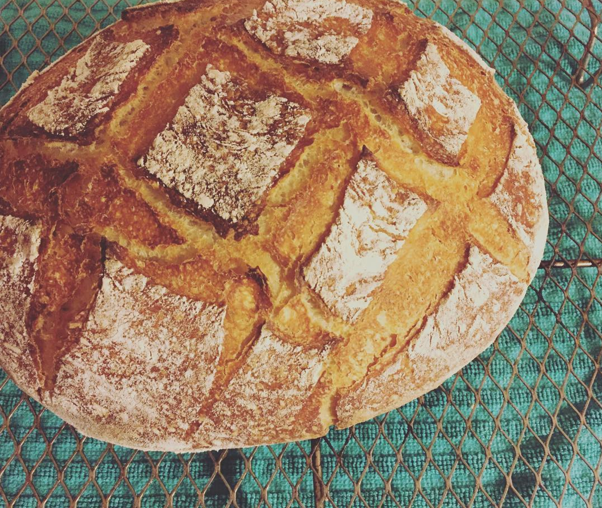 Sourdough Breadmaking