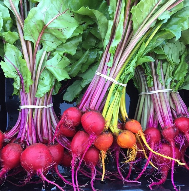 Backyard Gardening Basics